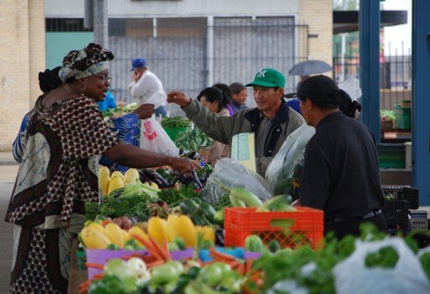 The Soul Power of Food: Feeding Dreams and Unity in a Food Desert